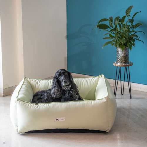 PoochMate Tic-Tac-Toe Bolster Bed - Pista Green