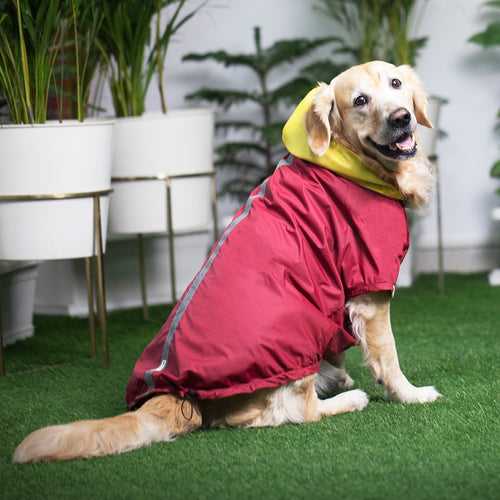 PoochMate Two Toned Rain Coat - Plum & Yellow