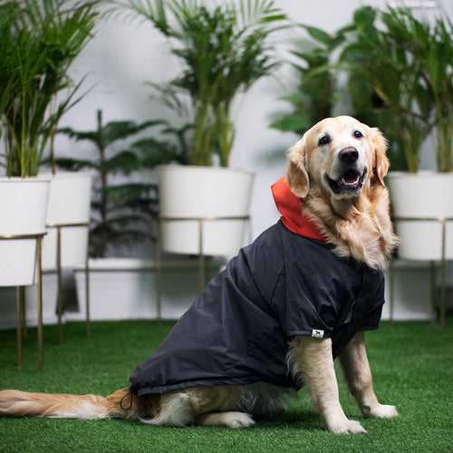 PoochMate Two Toned Rain Coat - Charcoal & Scarlet