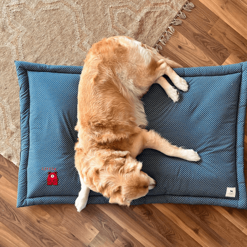 PoochMate Little Bear Dog Mat