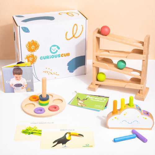 Curious Cub - Montessori Box-11 Months+