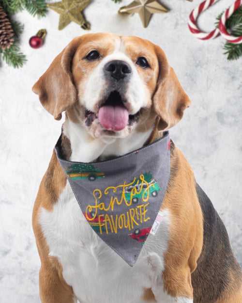 Santa’s Favourite Bandana