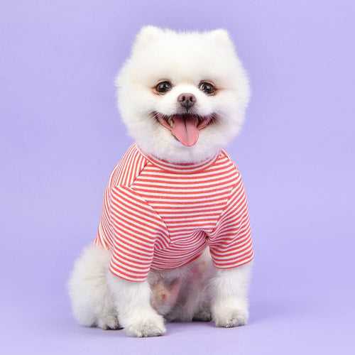 Striped T-Shirt For Dogs