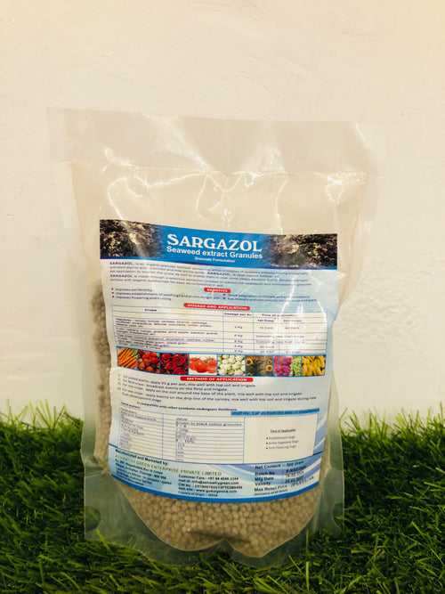 Sargazol seaweed extract granules