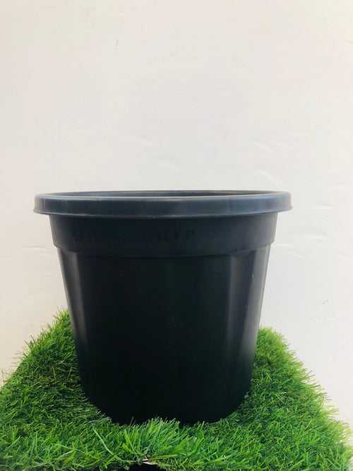 Black “10” Plastic pot