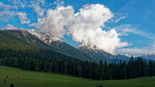 Kashmiri Swiss