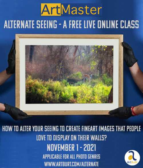 ArtMaster - Alternate Seeing - A FREE LIVE CLASS on Nov 1st