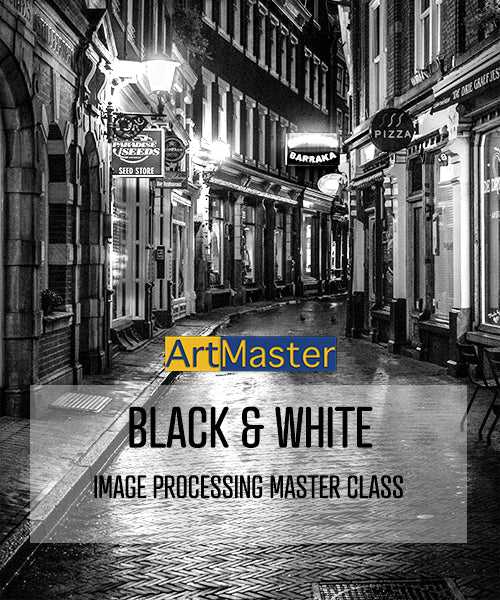 ArtMaster - 1x1 Fineart Black & White processing in Photoshop / Lightroom