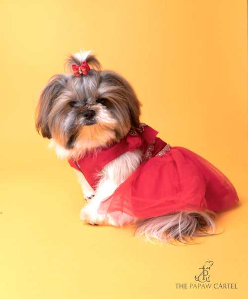 Embellished Red Chanya Choli For Dogs