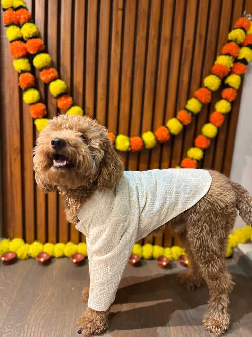 Lucknowi sherwani For Dogs