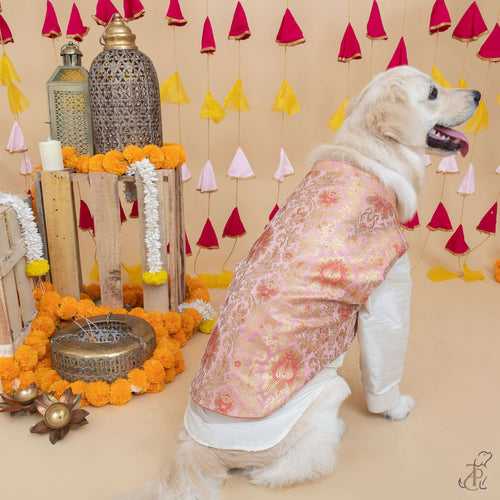 Pink & Golden Brocade Koti Kurta For Dogs