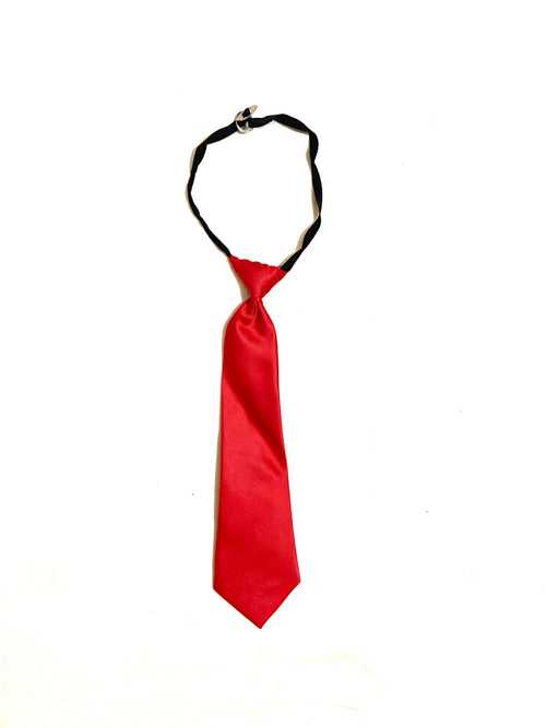 GPS - Red Tie Grade 1-4