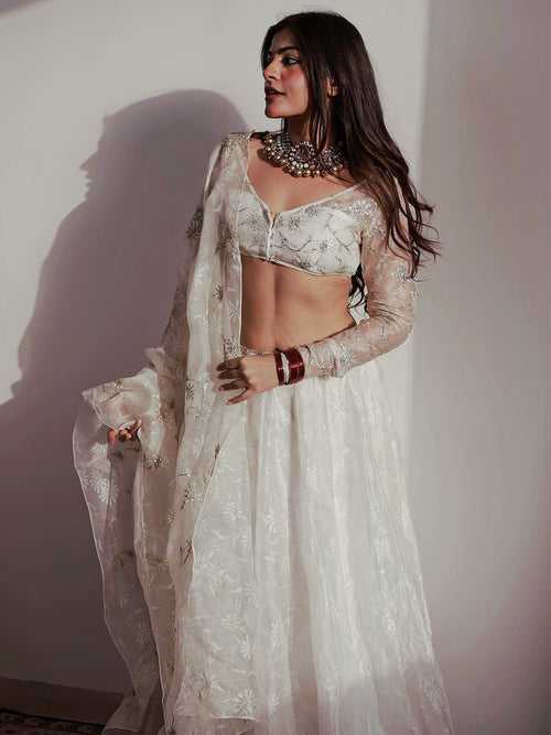 Ecru Burnt Organza Lehenga Set