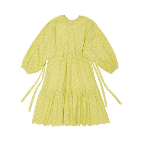 Aliza Lemon Dress