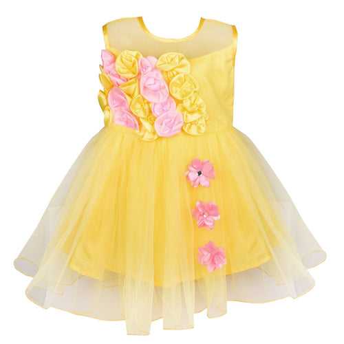 Baby Girls Party Wear  Dress Fe 2161y