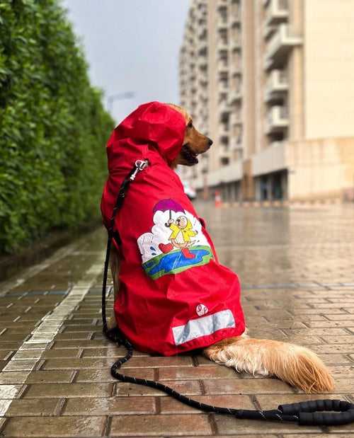 Dog Raincoat - Dogs Just Wanna Have Fun!