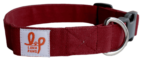 Dog Collar Neck Belt - Wine/Maroon