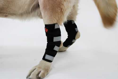Dog Rear Leg Hock Brace, Dog Leg Brace for Rear Leg, Hock & Ankle Support for Hind Legs