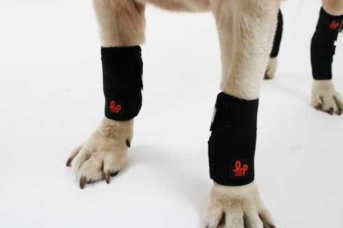 Dog Leg Braces Carpal or Wrist Support for Front Leg Joint (With Splint Support)
