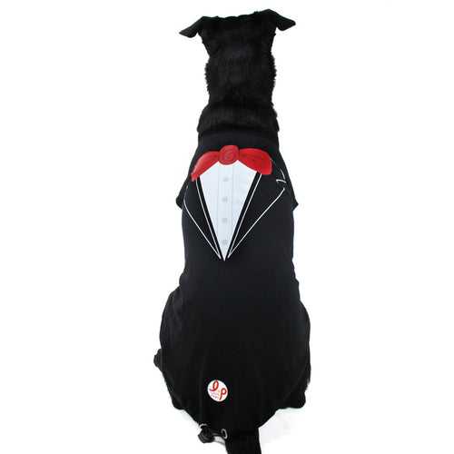 Dog Summer T-shirt - Tuxedo (Black)