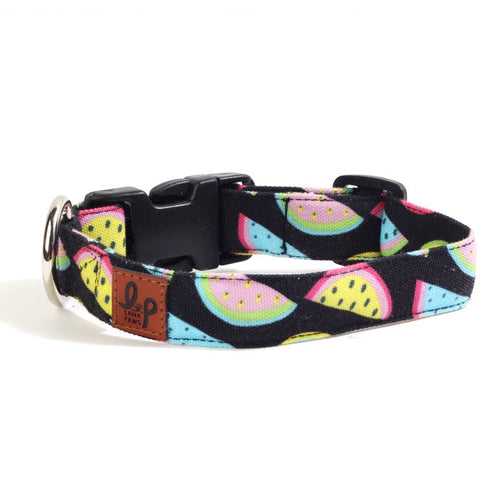 Dog Collar Neck Belt - Colourful Watermelons