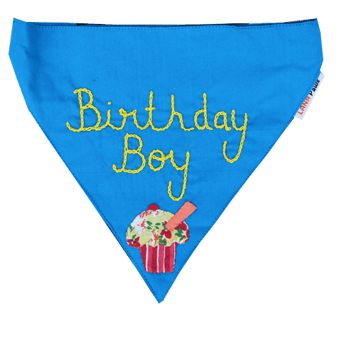 Birthday Boy! - Handmade Adjustable Dog Bandana