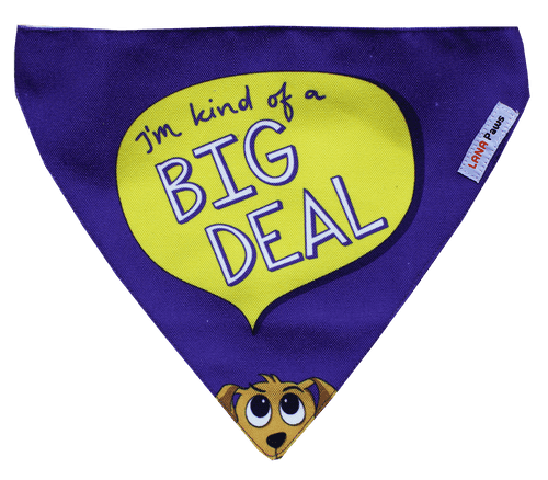 Adjustable Dog Bandana/ Dog Scarf - I am Kind of a Big Deal