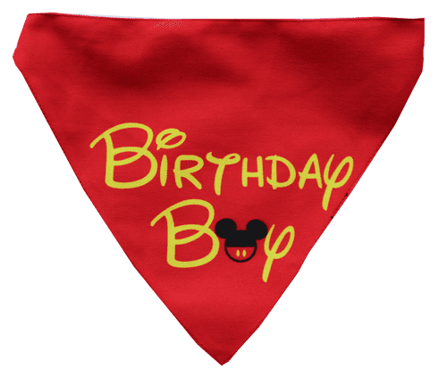 Adjustable Dog Bandana/ Dog Scarf - Birthday Boy