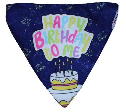 Adjustable Dog Bandana/ Dog Scarf (Blue) - Happy Birthday To Me!