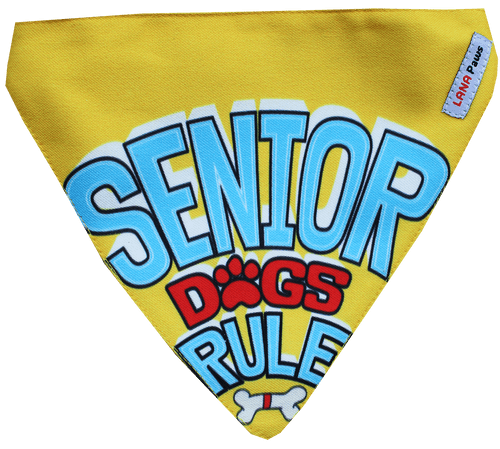 Adjustable Dog Bandana/ Dog Scarf - Senior Dogs Rule