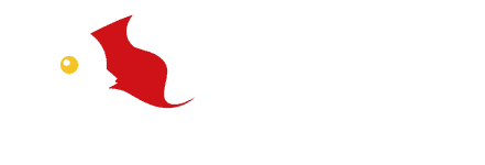 Entertainmentstore