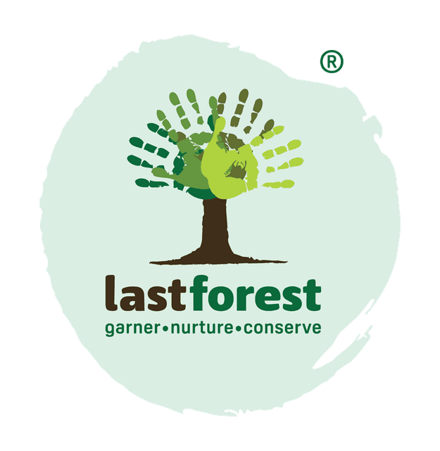 Lastforest