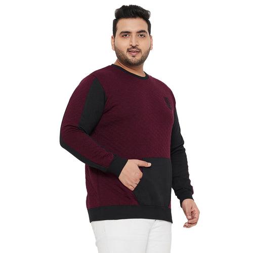 Men Plus Size Harvest Colorblock Sweatshirt