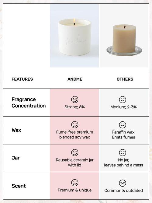 AndMe 50 Hrs Scented Candles for Home Decor | Rakhi Gift for sister| Rakhi Gift for Brother | Gift for birthday, anniversary, Diwali | Reusable Ceramic Jar Sea of Roses