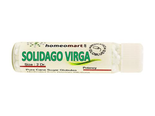 Solidago Virgaurea Medicated Pills 6c, 30c, 200c, 1M, 10M, CM