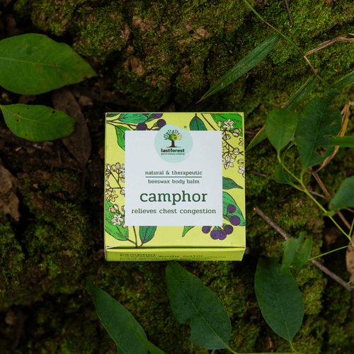 Therapeutic Beeswax Balm – Camphor (Heals Chest Congestions)