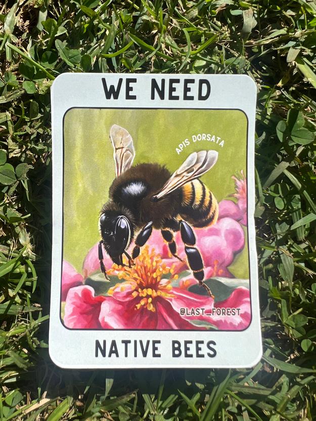 Sticker • We Need Native Bees