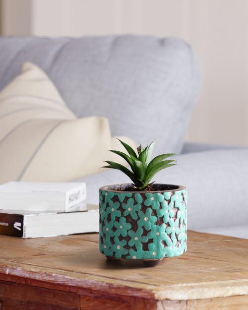 Small Ceramic Planter - 4.5 x 4