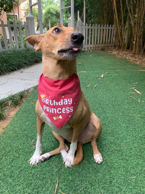 Dog Bandana: Birthday Girl Bandana for Pets