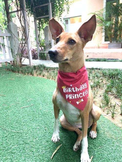 Dog Bandana: Birthday Girl Bandana for Pets