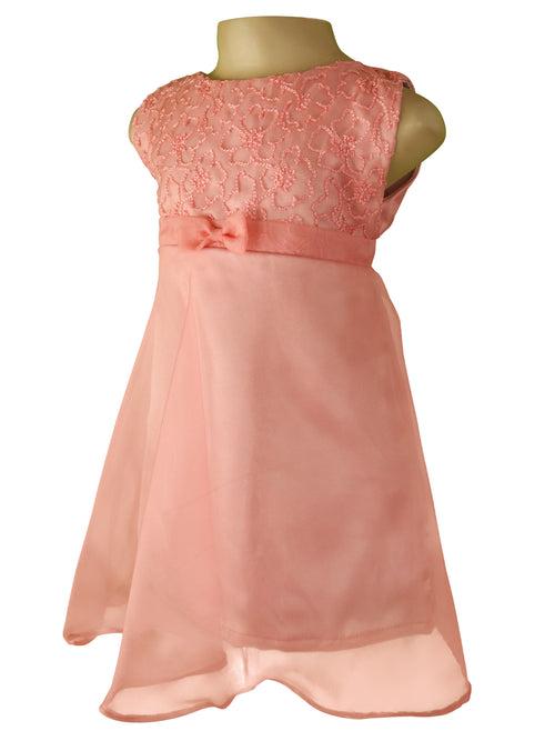 Faye Blush Embroidered Tissue Dress