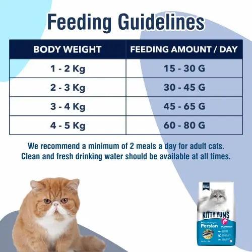 Kitty Yums Dry Persian Cat Food, Ocean Fish, 7kg