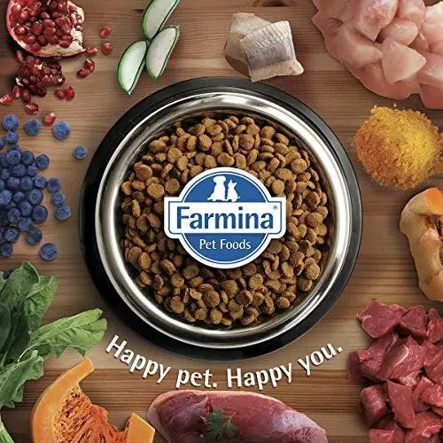 FARMINA N&D Ocean – COD Pumpkin & Cantaloupe Melon - Grain Free - Dog Dry Food - Puppy – Medium Maxi Breed (12kg)