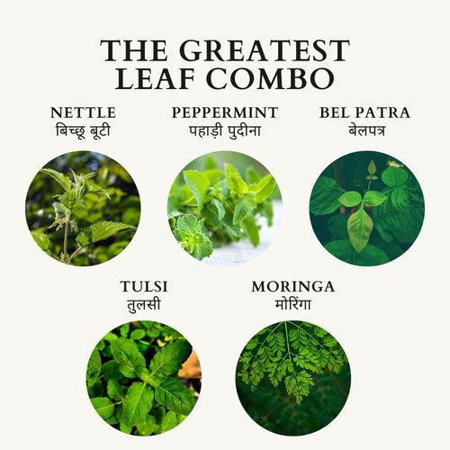 Blend Of 5 Leaves - Herbal Tea