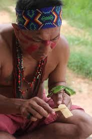 Kambo Ceremony-Amazonic Purge