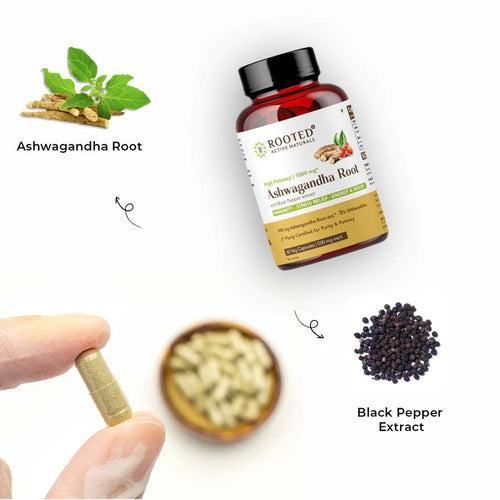 Rooted Actives Ashwagandha root extract (5% withanolides, 60 Caps, 500 mg) ,enhanced with Reishi Mushrooms | Supports Stress, Anxiety Relief, Energy & Immunity