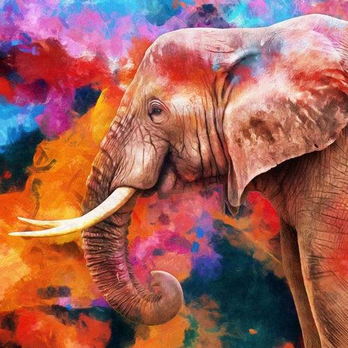 Multicolor Elephant Painting