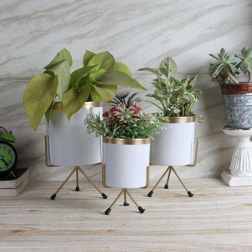 White & Gold Metal Votive Planter - Set of 3