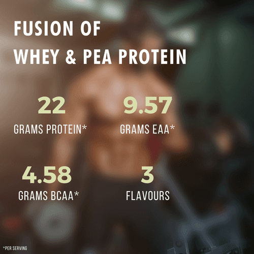 Nutrabox Fusion Protein