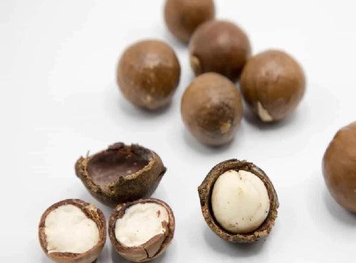 Buy Jumbo Macadamia Nuts Online